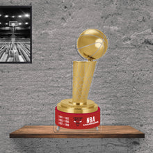 Load image into Gallery viewer, NBA Chicago Bulls Championship Larry O&#39;Brien Trophy Acrylic Plaque